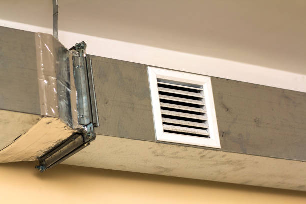 Best Air Duct Mold Removal  in Slocom, AL