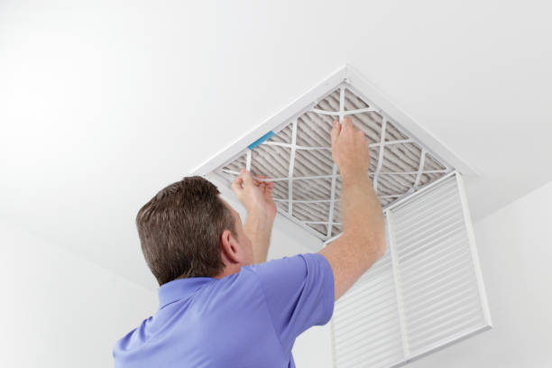 Air Duct Mold Removal in Slocom, AL